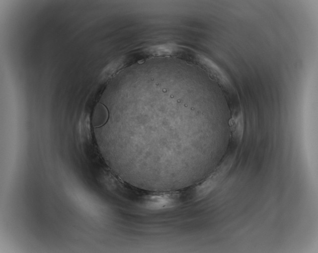 X0000111350381200907101215