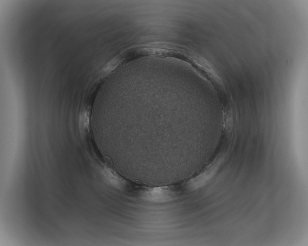 X0000111350382200907101215