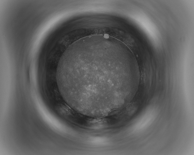 X0000111350383200907101215