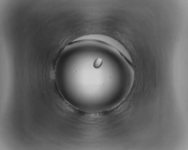 X0000111350384200907101215