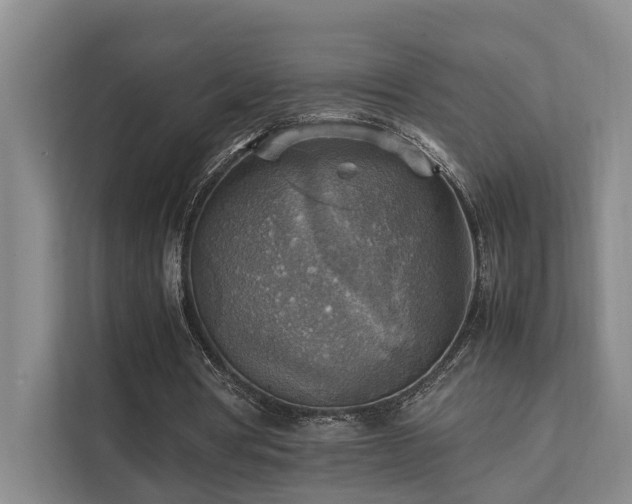 X0000111350386200907101214