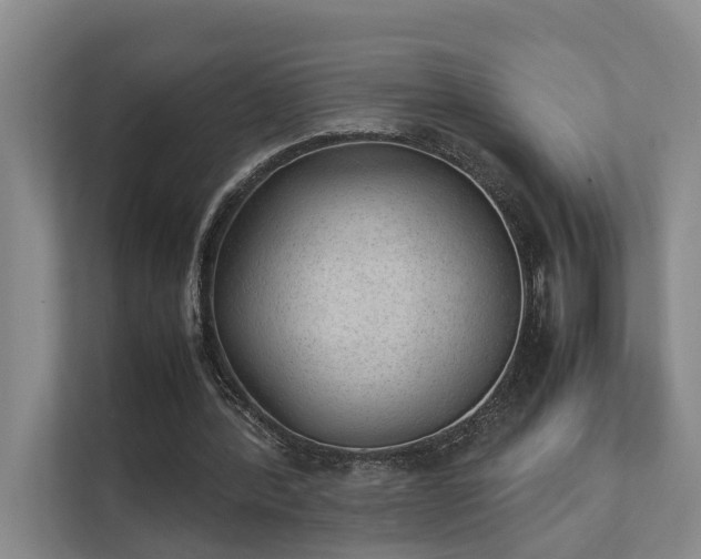 X0000111350388200907101214