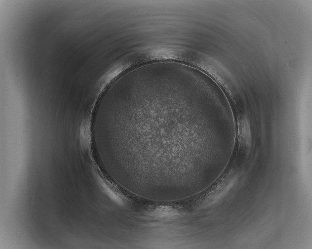 X0000111350390200907101214