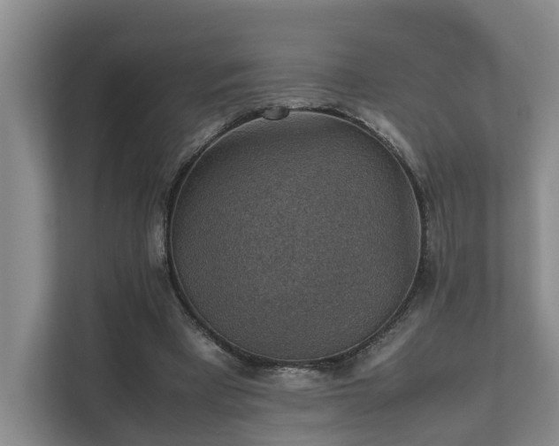 X0000111350393200907101214