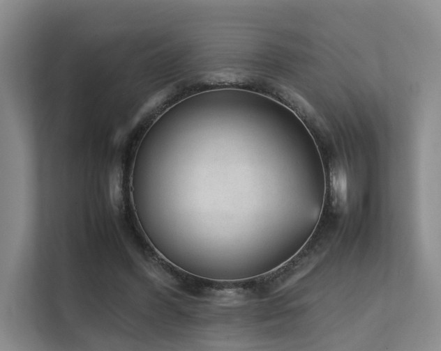 X0000111350396200907101214