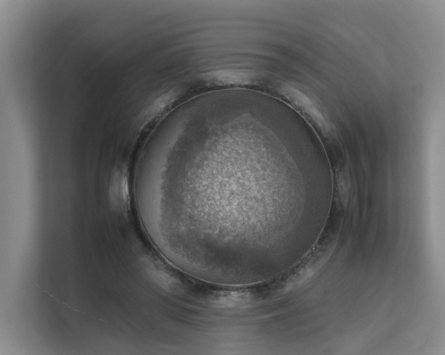 X0000111350398200907101214