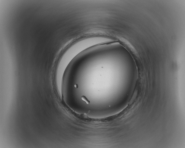 X0000111350399200907101214