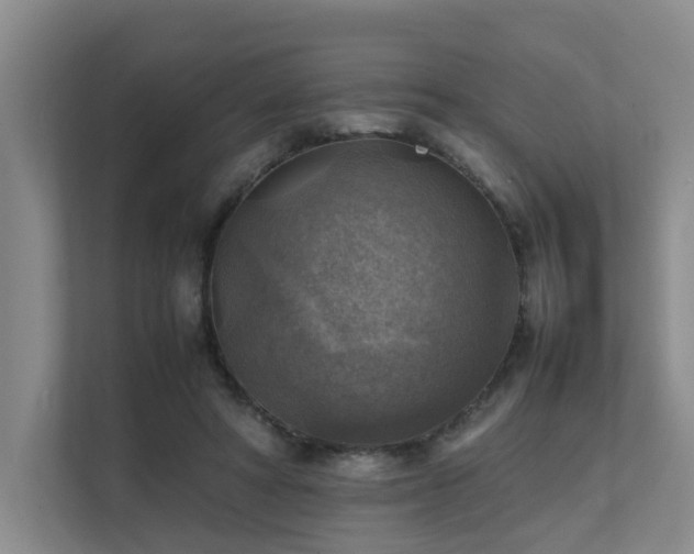 X0000111350402200907101214