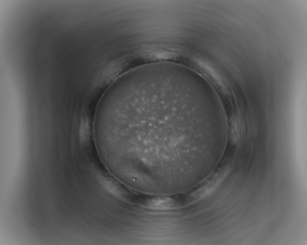 X0000111350410200907101214