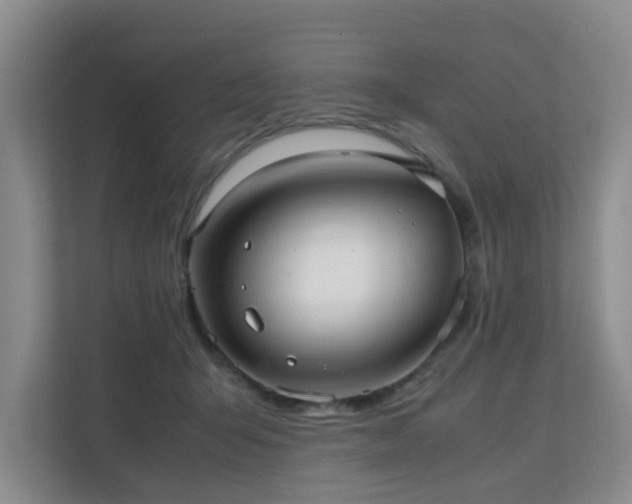 X0000111350415200907101214