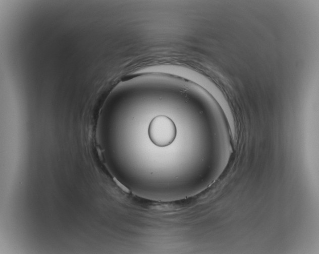 X0000111350417200907101214