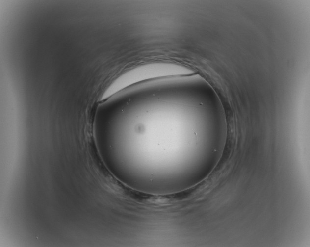 X0000111350419200907101214