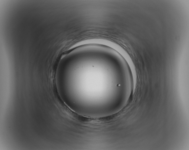 X0000111350423200907101214