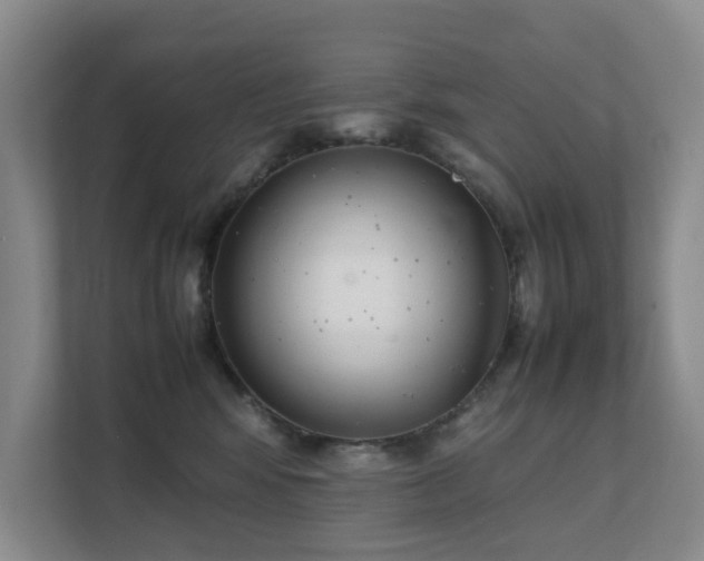 X0000111350424200907101214