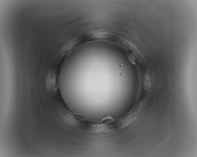 X0000111350428200907101214