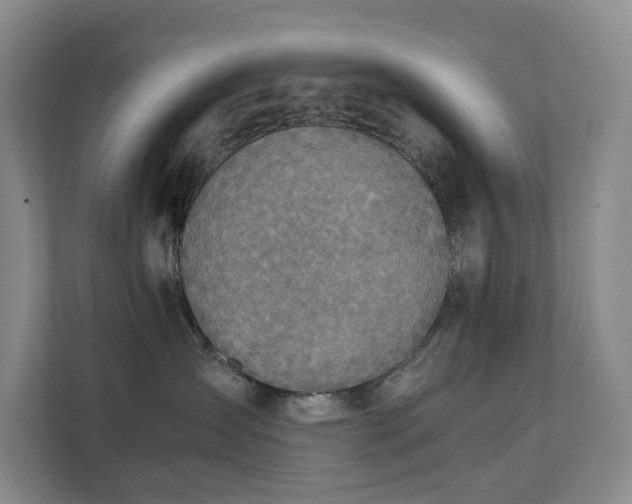 X0000111350431200907101214