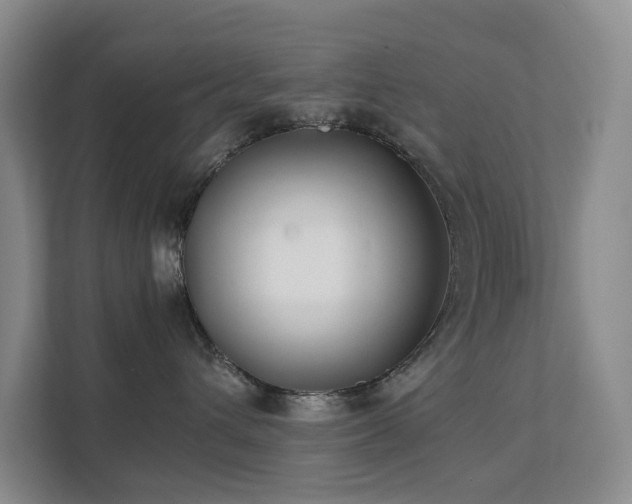 X0000111350432200907101214