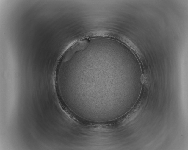 X0000111350434200907101213