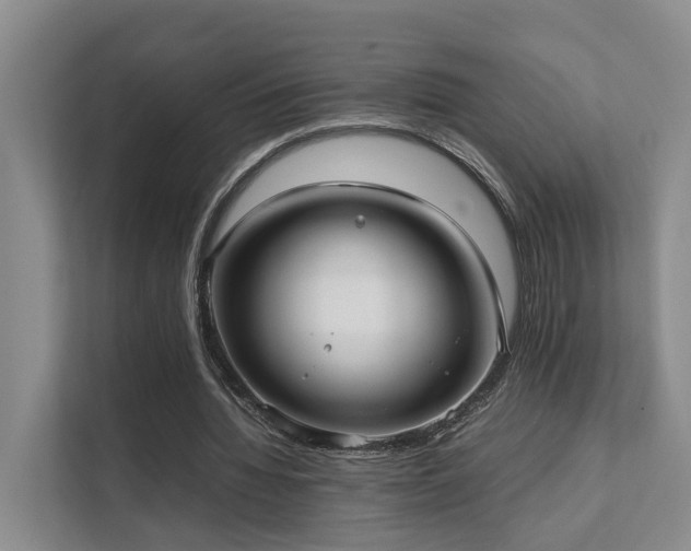 X0000111350436200907101213