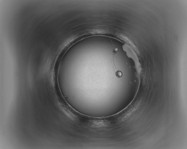 X0000111350439200907101213