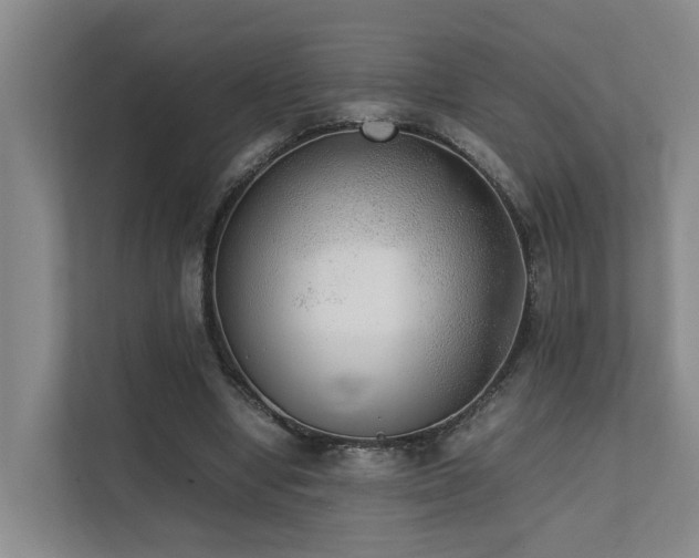 X0000111350442200907101213