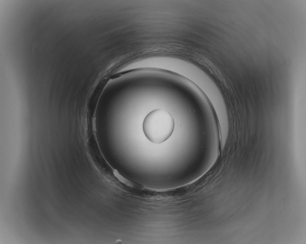 X0000111350444200907101213