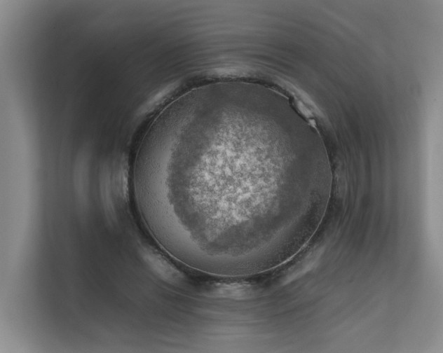 X0000111350446200907101213