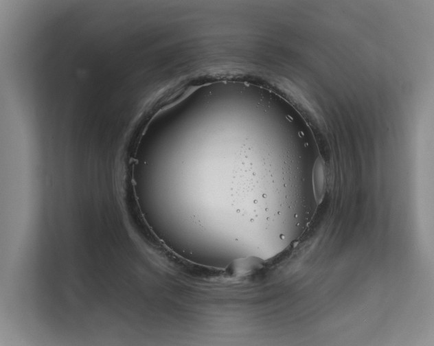 X0000111350448200907101213