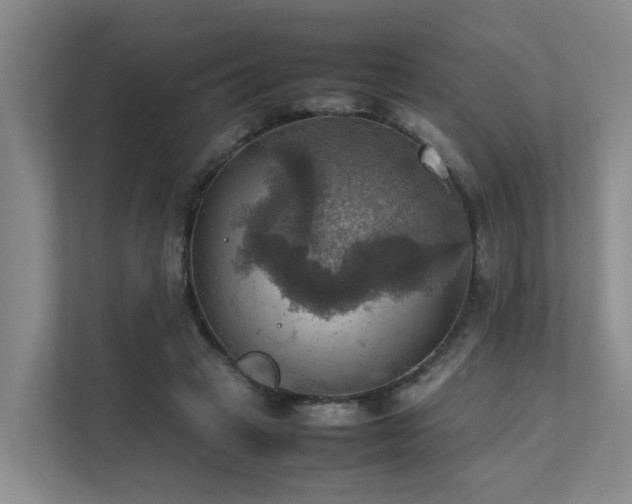 X0000111350449200907101213