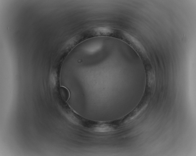 X0000111350451200907101213