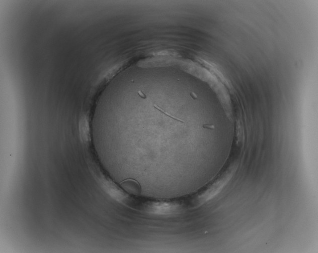 X0000111350453200907101213