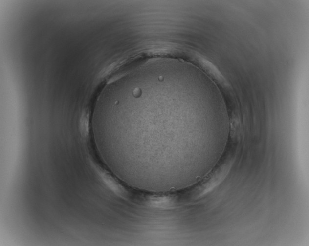 X0000111350454200907101213