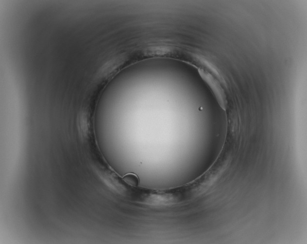 X0000111350455200907101213