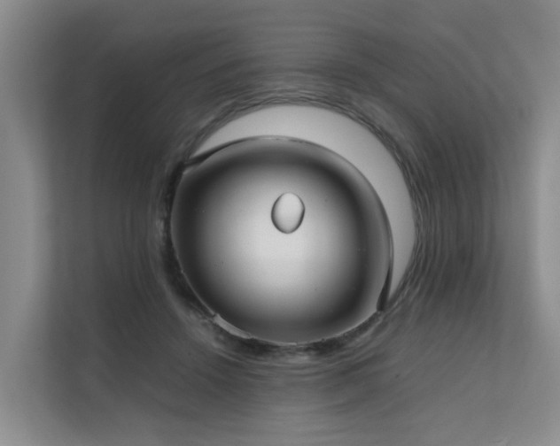 X0000111350456200907101213