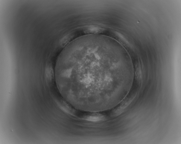 X0000111350459200907101213