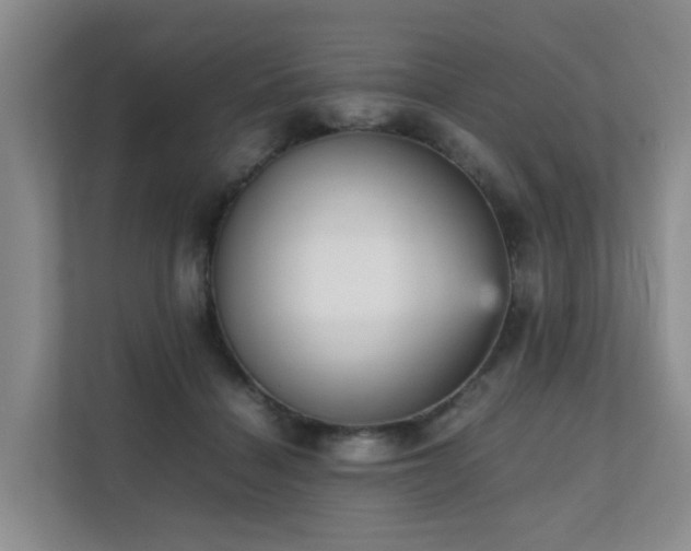 X0000111350460200907101213