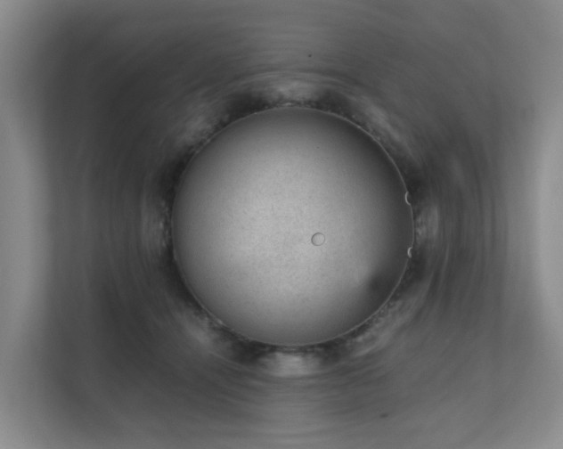 X0000111350464200907101213