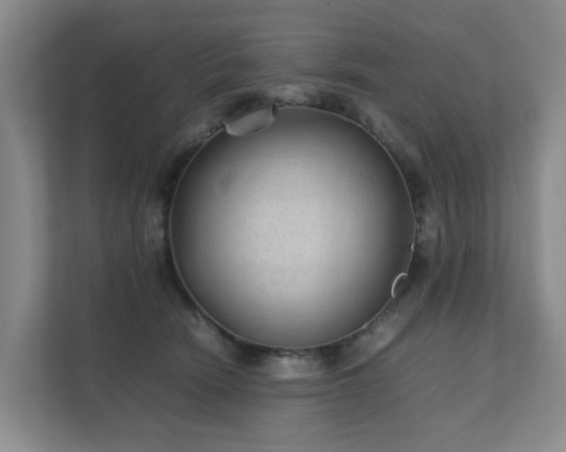 X0000111350466200907101213