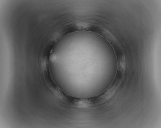 X0000111350468200907101214