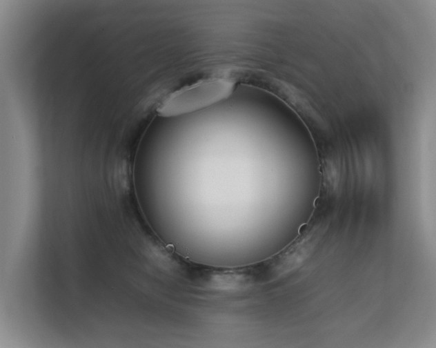 X0000111350470200907101214