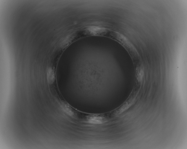 X0000111350471200907101214