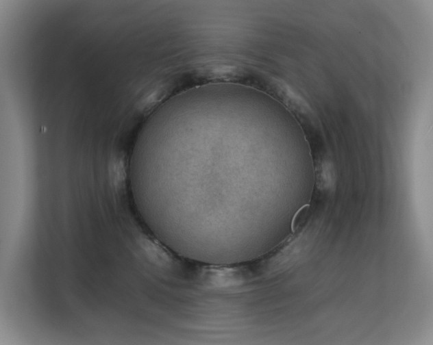 X0000111350472200907101214