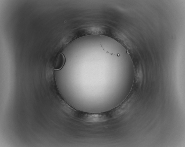 X0000111350473200907101214