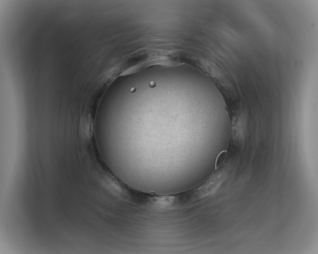 X0000111350474200907101214