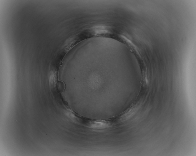 X0000111350475200907101214