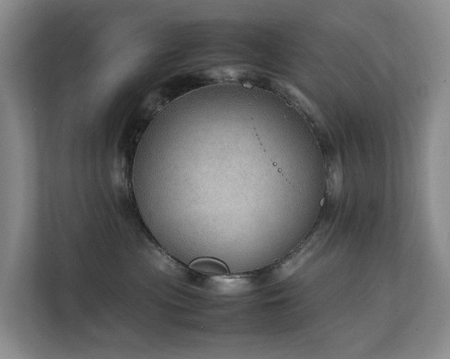 X0000111350477200907101214