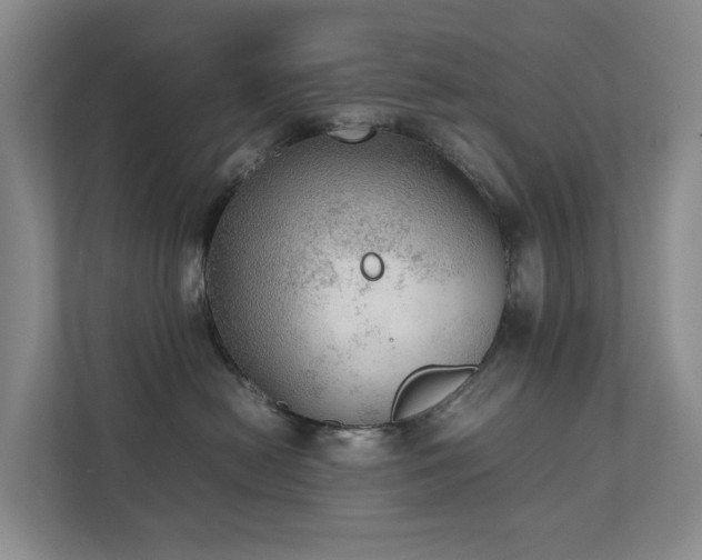 X0000111350478200907101214