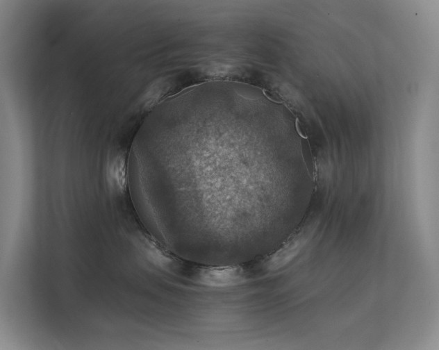 X0000111350479200907101214