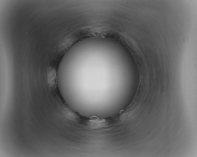 X0000111350480200907101214