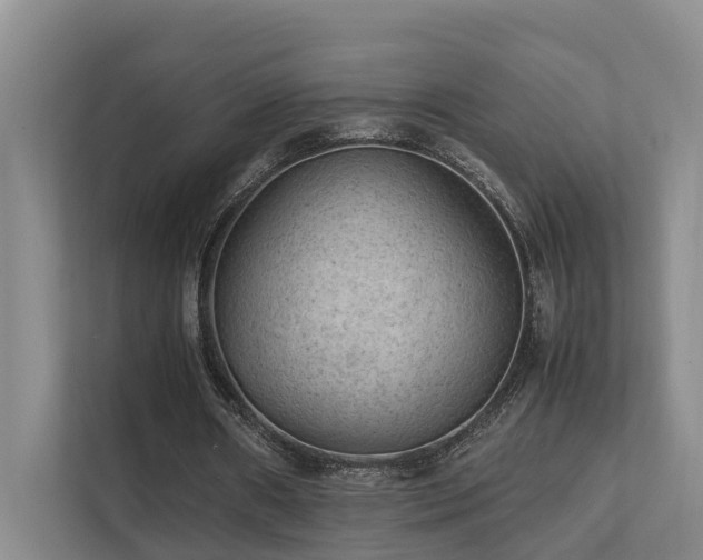 X0000111350482200907101213